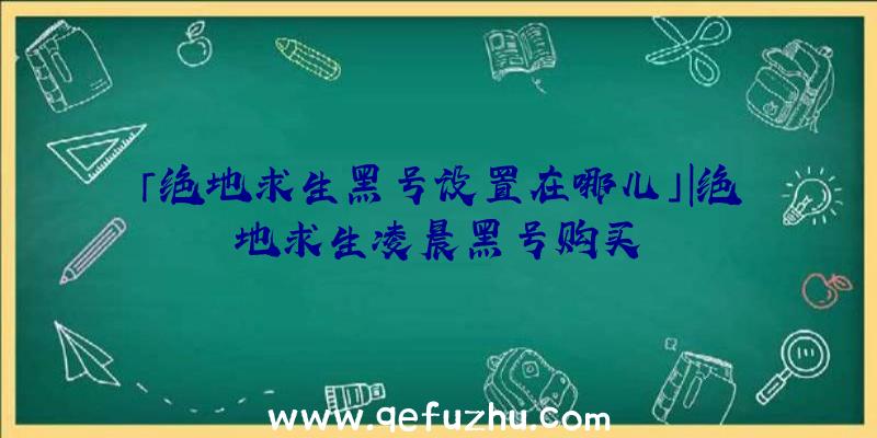 「绝地求生黑号设置在哪儿」|绝地求生凌晨黑号购买